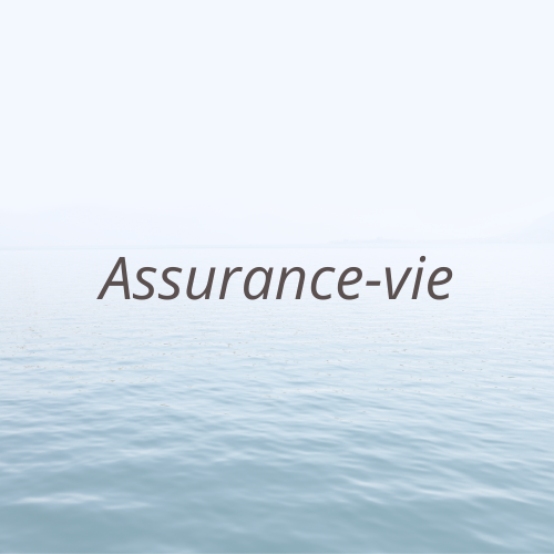 Assurance vie - gestion de patrimoine - Strasbourg - LB Gestion Privée